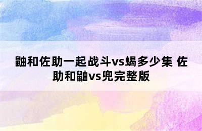 鼬和佐助一起战斗vs蝎多少集 佐助和鼬vs兜完整版